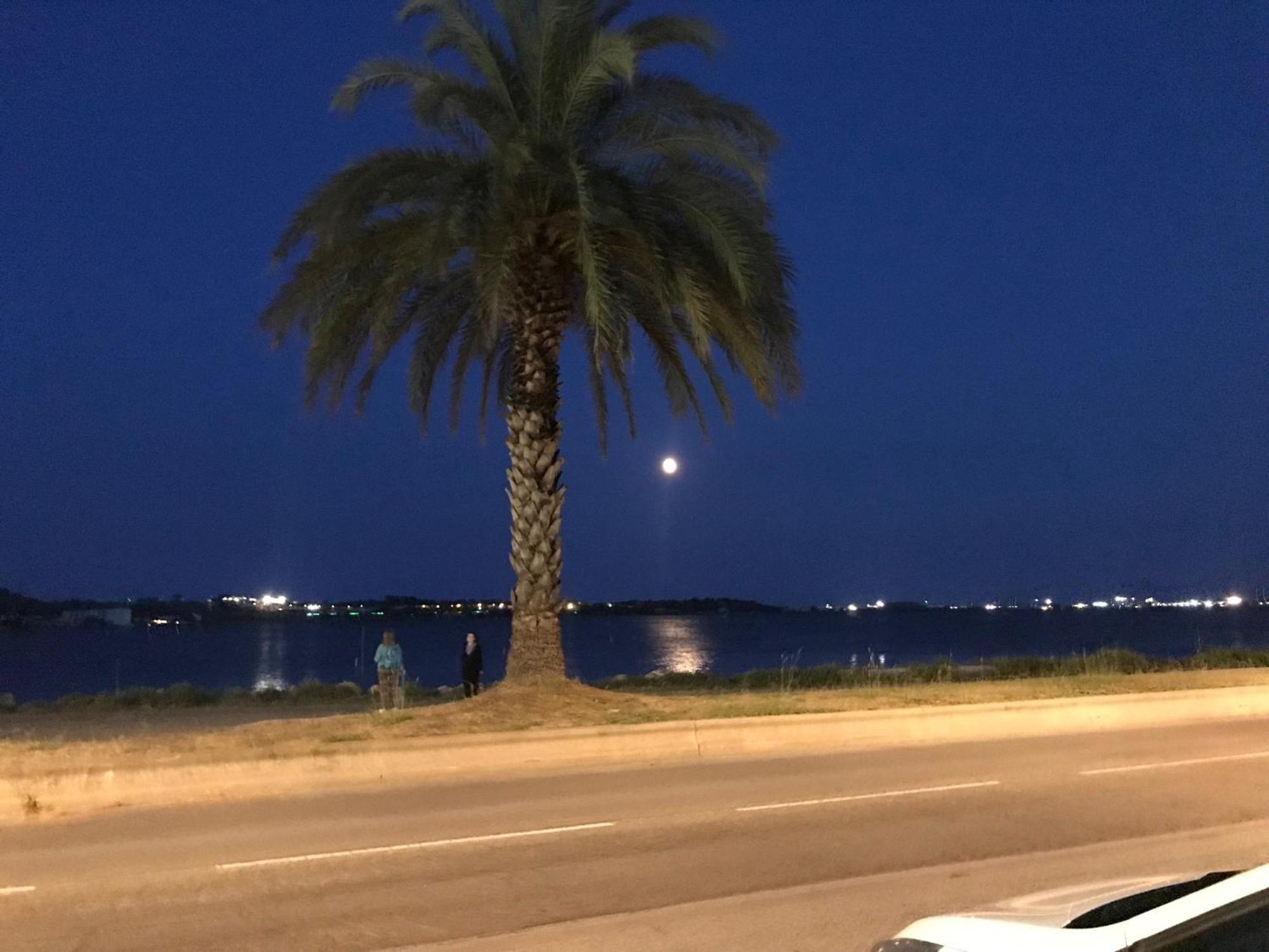 La Largatera Διαμέρισμα Frontignan Εξωτερικό φωτογραφία